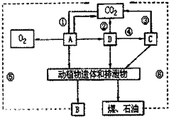 菁優(yōu)網(wǎng)