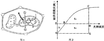 菁優(yōu)網(wǎng)