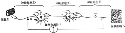 菁優(yōu)網(wǎng)