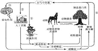 菁優(yōu)網(wǎng)