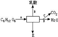 菁優(yōu)網(wǎng)