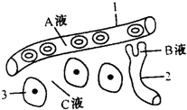 菁優(yōu)網(wǎng)