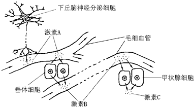 菁優(yōu)網(wǎng)