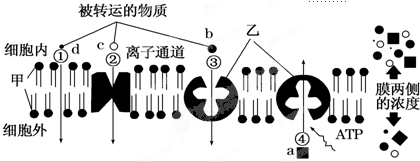 菁優(yōu)網(wǎng)