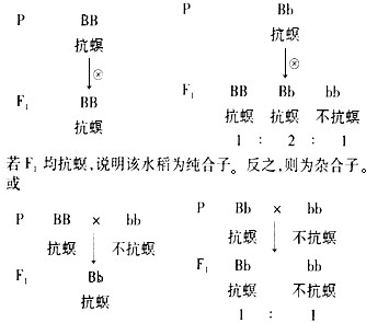 菁優網-菁菁校園優秀學子