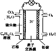 菁優(yōu)網