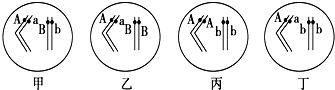 菁優(yōu)網(wǎng)