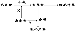 菁優(yōu)網(wǎng)