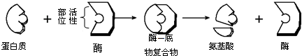 菁優(yōu)網