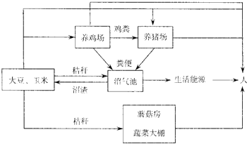 (2010宿迁模拟)如图表示某地区农业生态系统的结构模式图请据图回答