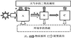 菁優(yōu)網(wǎng)