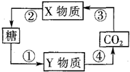 菁優(yōu)網(wǎng)