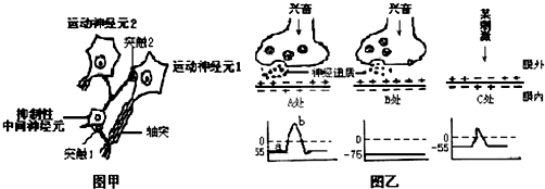 膜內 膜內(膜內/膜外)電位變化,其中a段時膜敵朔茉神經纖維上的傳導