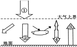 4901f966.png