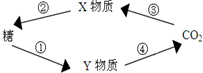 菁優(yōu)網(wǎng)