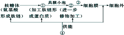 菁優(yōu)網(wǎng)