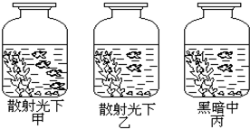 菁優(yōu)網(wǎng)