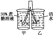 菁優(yōu)網(wǎng)