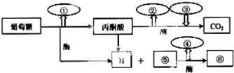 菁優(yōu)網(wǎng)