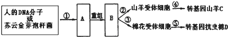 菁優(yōu)網