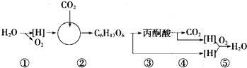 菁優(yōu)網(wǎng)