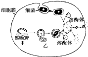 菁優(yōu)網(wǎng)