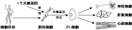 菁優(yōu)網