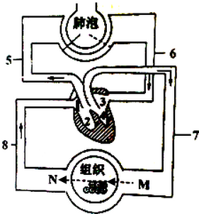 菁優(yōu)網(wǎng)