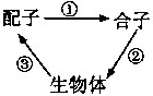 菁優(yōu)網(wǎng)