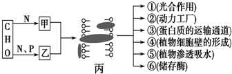 菁優(yōu)網(wǎng)