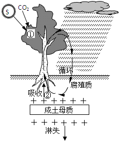 菁優(yōu)網(wǎng)