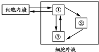 菁優(yōu)網(wǎng)