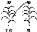 菁優(yōu)網