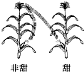 菁優(yōu)網