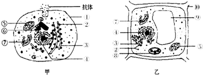 菁優(yōu)網(wǎng)