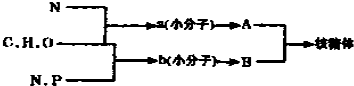 菁優(yōu)網(wǎng)