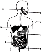 菁優(yōu)網(wǎng)