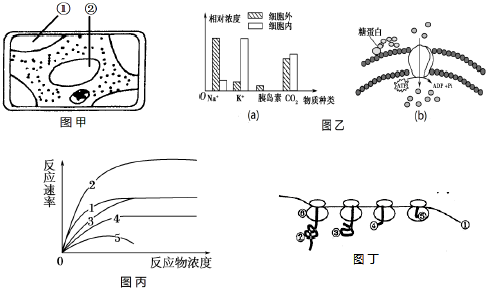 菁優(yōu)網(wǎng)