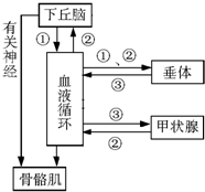 菁優(yōu)網(wǎng)