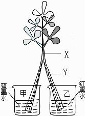 菁優(yōu)網(wǎng)