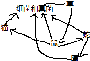 菁優(yōu)網(wǎng)