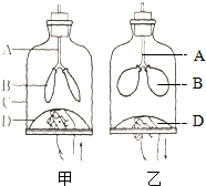 菁優(yōu)網(wǎng)