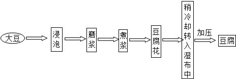 现豆腐在全球已成为颇受欢迎的食品,其制作的主要工艺流程通常如图