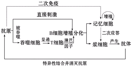 下列关于生命活动调节的叙述,正确的是)