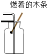 菁優(yōu)網