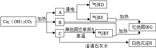 菁優(yōu)網