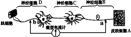 菁優(yōu)網(wǎng)