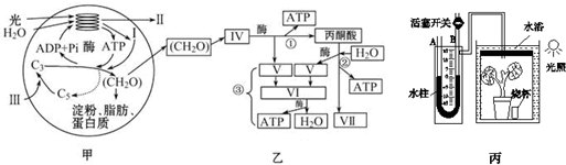 菁優(yōu)網(wǎng)