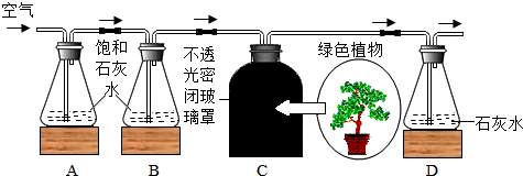 菁優(yōu)網(wǎng)