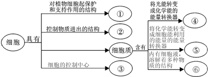 菁優(yōu)網(wǎng)